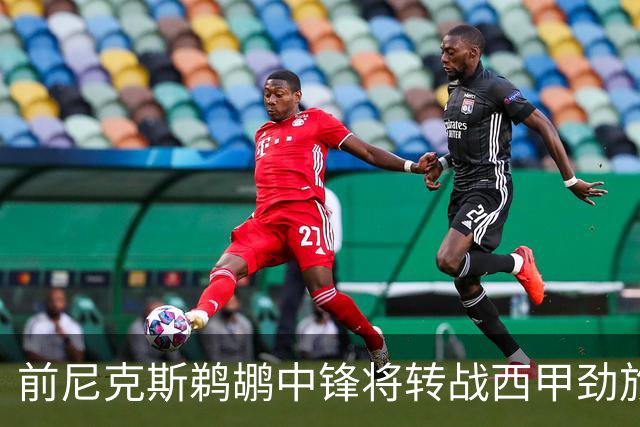 前尼克斯鹈鹕中锋将转战西甲劲旅，他的能力确实是下滑了不少？